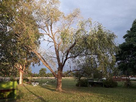 cabañas, alquiler, vacaciones, casa de alquiler, quinta de alquiler, fin de semana, casa para descansar, casa de descanso, finde, fin de semana largo, carnaval, semana santa, día de la raza, feriado, feriados, feriado puente, bungalow, dormie, bungalows, cabaña tigre, casita de alquiler, casita de fin de semana, cañuelas, lobos, san miguel del monte, moreno, alquileres para vacaciones, cabaña para vacacionar, cabaña para vacaciones, escapadas, aceptan mascotas, cabaña completa, aparts, spa, deck con pileta, piscina, naturaleza, bosque, campo, camping exclusivo, dormies, dormis, apart hotel, estancia, habitaciones, habitacion de estancia, booking, altos, aires, alquiler temporario, parque4x4, complejo, termas, terrazas, escapadas cercanas, guías turísticas, alojamiento, alojamientos, departamento, cabanias, complejos de cabañas, tripadvisor, fiestas, alquiler fiestas, suites, suite, las primorosas, hotel libertad, hotel cañuelas, espacio domu, estancia don manuel, uribelarrea, fiesta de la cerveza y la picada, fiesta del dulce de leche, reservar, aparthotel, hotel, hoteleria, airbnb, posada, como entonces, pampas del sur, hotel de campo, pileta al aire libre, piscina, reservas, al campo, días de campo, día de campo, estancia don silvano, hotel spa, escapadas rurales, reciclaje, alojamiento no convencional, carpinteria, parque 4x4, cuatriciclos, farfalla, apart cañuelas, lobos, laguna, monte, fin de año, navidad