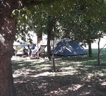 iniciarse al campamento, base, acampada, camping, acampar, camper, refugio, dormi, donde dormir,  caba&ntilde;a, hospedaje, donde hospedarse, hotel barato, ambiente, sala de maquinas, exclusivo, exclusividad, camping de lujo, glamping argentina, relax, relajarse, relajacion, siesta, tranquilidad, sosiego, estancia, pasto, aire, acondicionado, desayuno, mate en la cama, pileta, sombrilla, colchoneta inflable, fin de semana, week end, sabado, domingo, feriado, fin de semana largo, feriado puente, salida, parejas, turismo rural, viaje, viajecito escapada, viajeta, cerca, capital, pocos km, costa atlantica, autopista zona sur, lobos, ca&ntilde;uelas, san miguel del monte, uribelarrea, udaondo abott, campo, fogon, bolsa de dormir, linternas, mosquitero, pesca, paseos en globo, planeadores, alquiler cuatriciclos, cabalgatas, cabalgar, caballos, parque4x4, smata, maximo paz, vicente casares, ezeiza, horno de barro, asado, amigos, familia, chicos chicos, peque&ntilde;os, primera experiencia, naturaleza, verde, salir a pescar, hacer un fueguito, leer un libro, tranquilo, hamaca, paraguaya, siesta en los arboles, pastos altos, fogon, parrilla, disco de arado, deportes aventura, escapar de la rutina, quincho, juegos para chicos, escaladores, atardecer, niebla, abierto todo el a&ntilde;o, atendido por sus due&ntilde;os, ropa de cama, frazadas, mangrullo, reposeras, pic-nic, pic nic, campestre, atardecer, pajaros, chacra, las primorosas, chacras del alba, termas del salado, esculturas al aire libre, sala de maquinas, parque 4x4 conduccion defensiva, 4x4 y atv cuatris bosques, pasar el dia, dia de campo, 