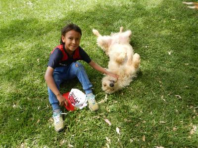 Campamento, ca&ntilde;uelas, acampar, escuelas, camping, educativo, grupo de chicos, salida educativa, exclusivo, fin de semana, pocos km, ezeiza, iniciarse al campamento, base, acampada, camping, acampar, cerca, capital, pocos km, lobos, ca&ntilde;uelas, san miguel del monte, uribelarrea, udaondo abott, campo, fogon, rustico, scouts, alquiler carpas, bolsa de dormir, linternas, parque4x4, smata, maximo paz, vicente casares, ezeiza, horno de barro, familia, chicos chicos, peque&ntilde;os, primera experiencia, naturaleza, verde, salir, arboleda, quincho cerrado, seguridad, iluminaci&oacute;n, fog&oacute;n, parrilla, deportes aventura, quincho, juegos para chicos, juegos trepadores, casa en el &aacute;rbol, escaladores, campestre, atardecer, la tranquera, general rodriguez, escuela de gimnasia, profesores, sevicios, viaje educativo, bosque, experiencia educativa, pileta, piscina, tobogan inflable, pelotero, mancha, deportes, cancha, futbol, voley, paseo nocturno, en caso de lluvia, transporte escolar, micro de alquiler, maestros de escuela, colegios, educaci&oacute;n privada, viaje fin de curso, experiencia campamentil, colonia escolar, educaci&oacute;n en el medio natural, Aula, Naturaleza, actividades f&iacute;sicas en el medio natural, educaci&oacute;n F&iacute;sica, educaci&oacute;n primaria, actividades f&iacute;sicas en la naturaleza, pre-campamento, colonia de vacaciones, vida en la naturaleza, tavien, pr&aacute;cticas en el medio natural; cuidado y preservaci&oacute;n del medio ambiente, interpretaci&oacute;n natural, campo privado, predio cerrado, integraci&oacute;n, sholem, intercolegial, torneo, campo aventua, barrancas, lujan, puente de sogas, caminata nocturna, entorno controlado, construir, refugios, laguna, juego, grupo, charlas, iglesias, retiro espiritual, catequesis, campamentos catolicos, proyecto campamento, arborismo, baradero, dormies, granja, contingente, alojamiento, interpretaci&oacute;n, mangrullo, plantas nativas, colonia suiza, programa educativo, san antonio de areco, los robles, campamento recreativo, armado de carpas, capilla del se&ntilde;or, excursiones de colegios, grupo scout.