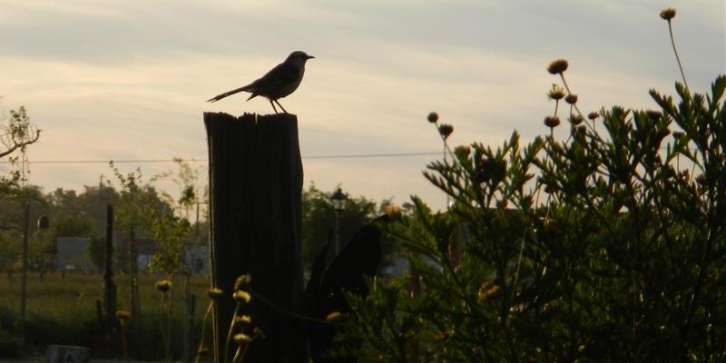 Campamento, ca&ntilde;uelas, acampar, escuelas, camping, educativo, grupo de chicos, salida educativa, exclusivo, fin de semana, pocos km, ezeiza, iniciarse al campamento, base, acampada, camping, acampar, cerca, capital, pocos km, lobos, ca&ntilde;uelas, san miguel del monte, uribelarrea, udaondo abott, campo, fogon, rustico, scouts, alquiler carpas, bolsa de dormir, linternas, parque4x4, smata, maximo paz, vicente casares, ezeiza, horno de barro, familia, chicos chicos, peque&ntilde;os, primera experiencia, naturaleza, verde, salir, arboleda, quincho cerrado, seguridad, iluminaci&oacute;n, fog&oacute;n, parrilla, deportes aventura, quincho, juegos para chicos, juegos trepadores, casa en el &aacute;rbol, escaladores, campestre, atardecer, la tranquera, general rodriguez, escuela de gimnasia, profesores, sevicios, viaje educativo, bosque, experiencia educativa, pileta, piscina, tobogan inflable, pelotero, mancha, deportes, cancha, futbol, voley, paseo nocturno, en caso de lluvia, transporte escolar, micro de alquiler, maestros de escuela, colegios, educaci&oacute;n privada, viaje fin de curso, experiencia campamentil, colonia escolar, educaci&oacute;n en el medio natural, Aula, Naturaleza, actividades f&iacute;sicas en el medio natural, educaci&oacute;n F&iacute;sica, educaci&oacute;n primaria, actividades f&iacute;sicas en la naturaleza, pre-campamento, colonia de vacaciones, vida en la naturaleza, tavien, pr&aacute;cticas en el medio natural; cuidado y preservaci&oacute;n del medio ambiente, interpretaci&oacute;n natural, campo privado, predio cerrado, integraci&oacute;n, sholem, intercolegial, torneo, campo aventua, barrancas, lujan, puente de sogas, caminata nocturna, entorno controlado, construir, refugios, laguna, juego, grupo, charlas, iglesias, retiro espiritual, catequesis, campamentos catolicos, proyecto campamento, arborismo, baradero, dormies, granja, contingente, alojamiento, interpretaci&oacute;n, mangrullo, plantas nativas, colonia suiza, programa educativo, san antonio de areco, los robles, campamento recreativo, armado de carpas, capilla del se&ntilde;or, excursiones de colegios, grupo scout.