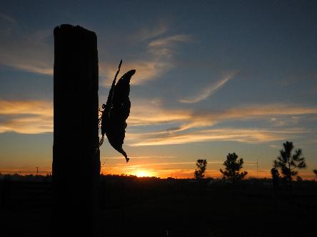 iniciarse al campamento, base, acampada, camping, acampar, camper, refugio, dormi, donde dormir,  caba&ntilde;a, hospedaje, donde hospedarse, hotel barato, ambiente, sala de maquinas, exclusivo, exclusividad, camping de lujo, glamping argentina, relax, relajarse, relajacion, siesta, tranquilidad, sosiego, estancia, pasto, aire, acondicionado, desayuno, mate en la cama, pileta, sombrilla, colchoneta inflable, fin de semana, week end, sabado, domingo, feriado, fin de semana largo, feriado puente, salida, parejas, turismo rural, viaje, viajecito escapada, viajeta, cerca, capital, pocos km, costa atlantica, autopista zona sur, lobos, ca&ntilde;uelas, san miguel del monte, uribelarrea, udaondo abott, campo, fogon, bolsa de dormir, linternas, mosquitero, pesca, paseos en globo, planeadores, alquiler cuatriciclos, cabalgatas, cabalgar, caballos, parque4x4, smata, maximo paz, vicente casares, ezeiza, horno de barro, asado, amigos, familia, chicos chicos, peque&ntilde;os, primera experiencia, naturaleza, verde, salir a pescar, hacer un fueguito, leer un libro, tranquilo, hamaca, paraguaya, siesta en los arboles, pastos altos 