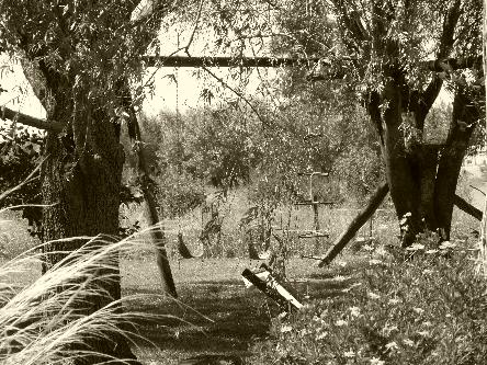 iniciarse al campamento, base, acampada, camping, acampar, camper, refugio, dormi, donde dormir,  caba&ntilde;a, hospedaje, donde hospedarse, hotel barato, ambiente, sala de maquinas, exclusivo, exclusividad, camping de lujo, glamping argentina, relax, relajarse, relajacion, siesta, tranquilidad, sosiego, estancia, pasto, aire, acondicionado, desayuno, mate en la cama, pileta, sombrilla, colchoneta inflable, fin de semana, week end, sabado, domingo, feriado, fin de semana largo, feriado puente, salida, parejas, turismo rural, viaje, viajecito escapada, viajeta, cerca, capital, pocos km, costa atlantica, autopista zona sur, lobos, ca&ntilde;uelas, san miguel del monte, uribelarrea, udaondo abott, campo, fogon, bolsa de dormir, linternas, mosquitero, pesca, paseos en globo, planeadores, alquiler cuatriciclos, cabalgatas, cabalgar, caballos, parque4x4, smata, maximo paz, vicente casares, ezeiza, horno de barro, asado, amigos, familia, chicos chicos, peque&ntilde;os, primera experiencia, naturaleza, verde, salir a pescar, hacer un fueguito, leer un libro, tranquilo, hamaca, paraguaya, siesta en los arboles, pastos altos, fogon, parrilla, disco de arado, deportes aventura, escapar de la rutina, quincho, juegos para chicos, escaladores, atardecer, niebla, abierto todo el a&ntilde;o, atendido por sus due&ntilde;os, ropa de cama, frazadas, mangrullo, reposeras, pic-nic, pic nic, campestre, atardecer, pajaros, chacra, las primorosas, chacras del alba, termas del salado, esculturas al aire libre, sala de maquinas, parque 4x4 conduccion defensiva, 4x4 y atv cuatris bosques, pasar el dia, dia de campo, 