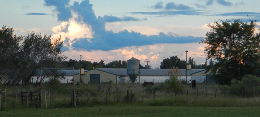 iniciarse al campamento, base, acampada, camping, acampar, camper, refugio, dormi, donde dormir,  caba&ntilde;a, hospedaje, donde hospedarse, hotel barato, ambiente, sala de maquinas, exclusivo, exclusividad, camping de lujo, glamping argentina, relax, relajarse, relajacion, siesta, tranquilidad, sosiego, estancia, pasto, aire, acondicionado, desayuno, mate en la cama, pileta, sombrilla, colchoneta inflable, fin de semana, week end, sabado, domingo, feriado, fin de semana largo, feriado puente, salida, parejas, turismo rural, viaje, viajecito escapada, viajeta, cerca, capital, pocos km, costa atlantica, autopista zona sur, lobos, ca&ntilde;uelas, san miguel del monte, uribelarrea, udaondo abott, campo, fogon, bolsa de dormir, linternas, mosquitero, pesca, paseos en globo, planeadores, alquiler cuatriciclos, cabalgatas, cabalgar, caballos, parque4x4, smata, maximo paz, vicente casares, ezeiza, horno de barro, asado, amigos, familia, chicos chicos, peque&ntilde;os, primera experiencia, naturaleza, verde, salir a pescar, hacer un fueguito, leer un libro, tranquilo, hamaca, paraguaya, siesta en los arboles, pastos altos, fogon, parrilla, disco de arado, deportes aventura, escapar de la rutina, quincho, juegos para chicos, escaladores, atardecer, niebla, abierto todo el a&ntilde;o, atendido por sus due&ntilde;os, ropa de cama, frazadas, mangrullo, reposeras, pic-nic, pic nic, campestre, atardecer, pajaros, chacra, las primorosas, chacras del alba, termas del salado, esculturas al aire libre, sala de maquinas, parque 4x4 conduccion defensiva, 4x4 y atv cuatris bosques 