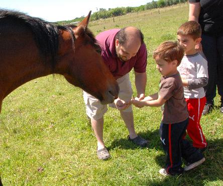 iniciarse al campamento, base, acampada, camping, acampar, camper, refugio, dormi, donde dormir,  caba&ntilde;a, hospedaje, donde hospedarse, hotel barato, ambiente, sala de maquinas, exclusivo, exclusividad, camping de lujo, glamping argentina, relax, relajarse, relajacion, siesta, tranquilidad, sosiego, estancia, pasto, aire, acondicionado, desayuno, mate en la cama, pileta, sombrilla, colchoneta inflable, fin de semana, week end, sabado, domingo, feriado, fin de semana largo, feriado puente, salida, parejas, turismo rural, viaje, viajecito escapada, viajeta, cerca, capital, pocos km, costa atlantica, autopista zona sur, lobos, ca&ntilde;uelas, san miguel del monte, uribelarrea, udaondo abott, campo, fogon, bolsa de dormir, linternas, mosquitero, pesca, paseos en globo, planeadores, alquiler cuatriciclos, cabalgatas, cabalgar, caballos, parque4x4, smata, maximo paz, vicente casares, ezeiza, horno de barro, asado, amigos, familia, chicos chicos, peque&ntilde;os, primera experiencia, naturaleza, verde, salir a pescar, hacer un fueguito, leer un libro, tranquilo, hamaca, paraguaya, siesta en los arboles, pastos altos, fogon, parrilla, disco de arado, deportes aventura, escapar de la rutina, quincho, juegos para chicos, escaladores, atardecer, niebla, abierto todo el a&ntilde;o, atendido por sus due&ntilde;os, ropa de cama, frazadas, mangrullo, reposeras, pic-nic, pic nic, campestre, atardecer, pajaros, chacra, las primorosas, chacras del alba, termas del salado, esculturas al aire libre, sala de maquinas, parque 4x4 conduccion defensiva, 4x4 y atv cuatris bosques 