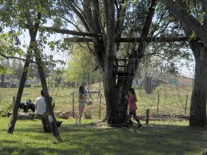 cuatriciclos, atv, cuatris, andar en cuatri, colectora autopista, utv, atv, sidebyside, polaris, canam, honda, gillera, g-force, donde andar en cuatri, circuito de enduro, motocross, moto, autopista, cantera, tosquera, seguridad, ba&ntilde;os, mecanica, reparacion de cuatri, quad, zanella, moto mx, millenium, campana, otamendi, practice track, benavidez, zona norte, zona sur, zona oeste, nogoya, las tejas, isla talavera, go pro, no profesional, cuatris para chicos, cuatri de 50cc, 90 cc, motocross, enduro, test road, mx, fmx, circuito, video, foro, comunidad mx, millennium 3, millennium otamendi, millennium benavidez, pista de cuatris, circuito de cuatriciclos, circuito ca&ntilde;uelas, ruta 3, atv park, amateur, circuito familia, cuatriciclo familiar, barro, piedras, donde barrear, stadium quadcross, chascomus, zarate, ezeiza, marcos parz, banshee, yamaha, grizzly, parrilleros, deportivo, buenos aires, parque4x4, camping con cuatri, sin locuras, parrillas, picnic, pic nic, cascos para cuatriciclos, ambiente familiar, pasar el d&iacute;a, fin de semana, sabado, domingo