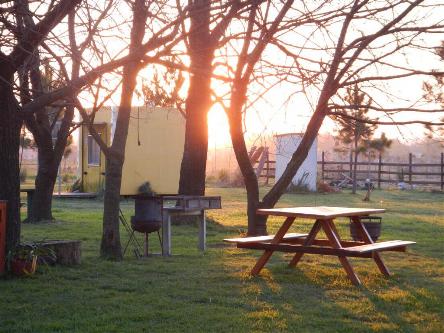 cuatriciclos, atv, cuatris, andar en cuatri, colectora autopista, utv, atv, sidebyside, polaris, canam, honda, gillera, g-force, donde andar en cuatri, circuito de enduro, motocross, moto, autopista, cantera, tosquera, seguridad, ba&ntilde;os, mecanica, reparacion de cuatri, quad, zanella, moto mx, millenium, campana, otamendi, practice track, benavidez, zona norte, zona sur, zona oeste, nogoya, las tejas, isla talavera, go pro, no profesional, cuatris para chicos, cuatri de 50cc, 90 cc, motocross, enduro, test road, mx, fmx, circuito, video, foro, comunidad mx, millennium 3, millennium otamendi, millennium benavidez, pista de cuatris, circuito de cuatriciclos, circuito ca&ntilde;uelas, ruta 3, atv park, amateur, circuito familia, cuatriciclo familiar, barro, piedras, donde barrear, stadium quadcross, chascomus, zarate, ezeiza, marcos parz, banshee, yamaha, grizzly, parrilleros, deportivo, buenos aires, parque4x4, camping con cuatri, sin locuras, parrillas, picnic, pic nic, cascos para cuatriciclos, ambiente familiar, pasar el d&iacute;a, fin de semana, sabado, domingo