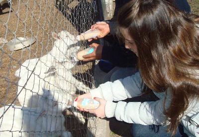 camping campamento jardin naturaleza pic nic aventura cuatriciclos pielta arquitectura bricolage avistaje de aves dia de campo fin de semana buena onda asado jardin de esculturas hierro reciclado animales de metal jardin de colibries salvias picaflor picaflores lagarto overo culebra jardin aves buenos aires observacion de aves rincon de la naturaleza ca&ntilde;uelas laguna pesca mojarras pescar con los chicos pesca con devolucion sembrar mojarras siempre construyendo parque4x4 parque 4x4 pasar el dia amigos cumplea&ntilde;os festejar cumple quinta campo quincho parrillas ba&ntilde;os accesibles duchas camping discapacitados  circuito pruebas sesion fotos campo test drive manejo prueba  siestodromo dormir la siesta