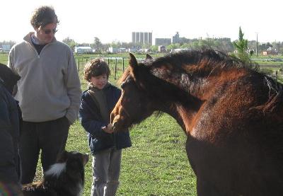 camping campamento jardin naturaleza pic nic aventura cuatriciclos pielta arquitectura bricolage avistaje de aves dia de campo fin de semana buena onda asado jardin de esculturas hierro reciclado animales de metal jardin de colibries salvias picaflor picaflores lagarto overo culebra jardin aves buenos aires observacion de aves rincon de la naturaleza ca&ntilde;uelas laguna pesca mojarras pescar con los chicos pesca con devolucion sembrar mojarras siempre construyendo parque4x4 parque 4x4 pasar el dia amigos cumplea&ntilde;os festejar cumple quinta campo quincho parrillas ba&ntilde;os accesibles duchas camping discapacitados  circuito pruebas sesion fotos campo test drive manejo prueba  siestodromo dormir la siesta