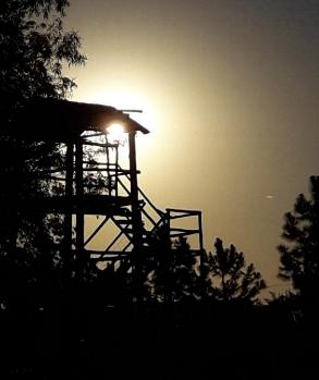 camping campamento jardin naturaleza pic nic aventura cuatriciclos pielta arquitectura bricolage avistaje de aves dia de campo fin de semana buena onda asado jardin de esculturas hierro reciclado animales de metal jardin de colibries salvias picaflor picaflores lagarto overo culebra jardin aves buenos aires observacion de aves rincon de la naturaleza ca&ntilde;uelas laguna pesca mojarras pescar con los chicos pesca con devolucion sembrar mojarras siempre construyendo parque4x4 parque 4x4 pasar el dia amigos cumplea&ntilde;os festejar cumple quinta campo quincho parrillas 