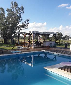 camping campamento jardin naturaleza pic nic aventura cuatriciclos pielta arquitectura bricolage avistaje de aves dia de campo fin de semana buena onda asado jardin de esculturas hierro reciclado animales de metal jardin de colibries salvias picaflor picaflores lagarto overo culebra jardin aves buenos aires observacion de aves rincon de la naturaleza ca&ntilde;uelas laguna pesca mojarras pescar con los chicos pesca con devolucion sembrar mojarras siempre construyendo parque4x4 parque 4x4 pasar el dia amigos cumplea&ntilde;os festejar cumple quinta campo quincho parrillas 