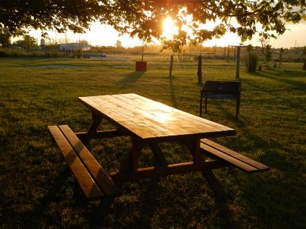 camping campamento jardin naturaleza pic nic aventura cuatriciclos pielta arquitectura bricolage avistaje de aves dia de campo fin de semana buena onda asado jardin de esculturas hierro reciclado animales de metal jardin de colibries salvias picaflor picaflores lagarto overo culebra jardin aves buenos aires observacion de aves rincon de la naturaleza ca&ntilde;uelas laguna pesca mojarras pescar con los chicos pesca con devolucion sembrar mojarras siempre construyendo parque4x4 parque 4x4 pasar el dia amigos cumplea&ntilde;os festejar cumple quinta campo quincho parrillas ba&ntilde;os accesibles duchas camping discapacitados  circuito pruebas sesion fotos campo test drive manejo prueba  siestodromo dormir la siesta fogon campamento fogon nocturno fogata  fuego  ronda