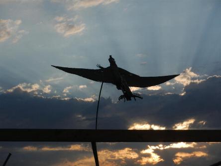 camping campamento jardin naturaleza pic nic aventura cuatriciclos pielta arquitectura bricolage avistaje de aves dia de campo fin de semana buena onda asado jardin de esculturas hierro reciclado animales de metal jardin de colibries salvias picaflor picaflores lagarto overo culebra jardin aves buenos aires observacion de aves rincon de la naturaleza ca&ntilde;uelas laguna pesca mojarras pescar con los chicos pesca con devolucion sembrar mojarras siempre construyendo parque4x4 parque 4x4 pasar el dia amigos cumplea&ntilde;os festejar cumple quinta campo quincho parrillas ba&ntilde;os accesibles duchas camping discapacitados 