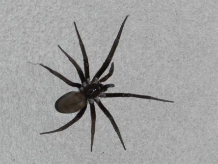 camping campamento jardin naturaleza pic nic aventura cuatriciclos pielta arquitectura bricolage avistaje de aves dia de campo fin de semana buena onda asado jardin de esculturas hierro reciclado animales de metal jardin de colibries salvias picaflor picaflores lagarto overo culebra jardin aves buenos aires observacion de aves rincon de la naturaleza ca&ntilde;uelas laguna pesca mojarras pescar con los chicos pesca con devolucion sembrar mojarras siempre construyendo parque4x4 parque 4x4 pasar el dia amigos cumplea&ntilde;os festejar cumple quinta campo quincho parrillas ba&ntilde;os accesibles duchas camping discapacitados  circuito pruebas sesion fotos campo test drive manejo prueba  siestodromo dormir la siesta fogon campamento nido pajaros aguilucho chimango cara cara tero huevos moteados serpiente vibora  iguana