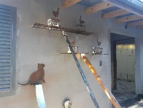 camping campamento jardin naturaleza pic nic aventura cuatriciclos pielta arquitectura bricolage avistaje de aves dia de campo fin de semana buena onda asado jardin de esculturas hierro reciclado animales de metal jardin de colibries salvias picaflor picaflores lagarto overo culebra jardin aves buenos aires observacion de aves rincon de la naturaleza ca&ntilde;uelas laguna pesca mojarras pescar con los chicos pesca con devolucion sembrar mojarras siempre construyendo parque4x4 parque 4x4 pasar el dia amigos cumplea&ntilde;os festejar cumple quinta campo quincho parrillas ba&ntilde;os accesibles duchas camping discapacitados 