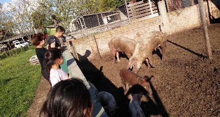 camping campamento jardin naturaleza pic nic aventura cuatriciclos pielta arquitectura bricolage avistaje de aves dia de campo fin de semana buena onda asado jardin de esculturas hierro reciclado animales de metal jardin de colibries salvias picaflor picaflores lagarto overo culebra jardin aves buenos aires observacion de aves rincon de la naturaleza ca&ntilde;uelas laguna pesca mojarras pescar con los chicos pesca con devolucion sembrar mojarras siempre construyendo parque4x4 parque 4x4 pasar el dia amigos cumplea&ntilde;os festejar cumple quinta campo quincho parrillas ba&ntilde;os accesibles duchas camping discapacitados  circuito pruebas sesion fotos campo test drive manejo prueba  siestodromo dormir la siesta
