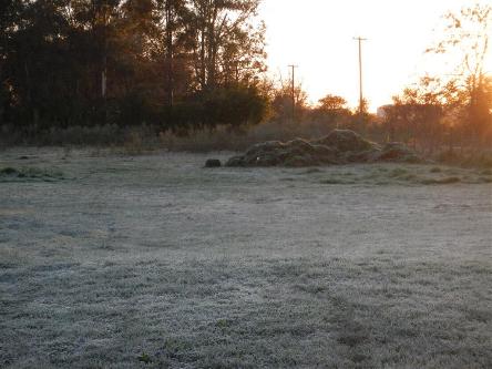 heladas en la provincia de buenos aires