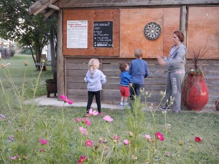 camping campamento jardin naturaleza pic nic aventura cuatriciclos pielta arquitectura bricolage avistaje de aves dia de campo fin de semana buena onda asado jardin de esculturas hierro reciclado animales de metal jardin de colibries salvias picaflor picaflores lagarto overo culebra jardin aves buenos aires observacion de aves rincon de la naturaleza ca&ntilde;uelas laguna pesca mojarras pescar con los chicos pesca con devolucion sembrar mojarras siempre construyendo parque4x4 parque 4x4 pasar el dia amigos cumplea&ntilde;os festejar cumple quinta campo quincho parrillas ba&ntilde;os accesibles duchas camping discapacitados 