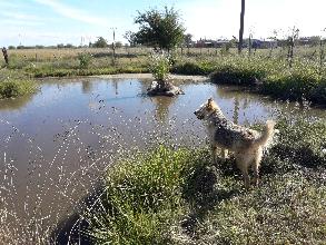 camping campamento jardin naturaleza pic nic aventura cuatriciclos pielta arquitectura bricolage avistaje de aves dia de campo fin de semana buena onda asado jardin de esculturas hierro reciclado animales de metal jardin de colibries salvias picaflor picaflores lagarto overo culebra jardin aves buenos aires observacion de aves rincon de la naturaleza ca&ntilde;uelas laguna pesca mojarras pescar con los chicos pesca con devolucion sembrar mojarras siempre construyendo parque4x4 parque 4x4 pasar el dia amigos cumplea&ntilde;os festejar cumple quinta campo quincho parrillas ba&ntilde;os accesibles duchas camping discapacitados 