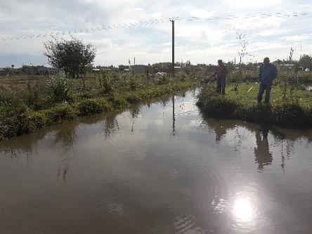camping campamento jardin naturaleza pic nic aventura cuatriciclos pielta arquitectura bricolage avistaje de aves dia de campo fin de semana buena onda asado jardin de esculturas hierro reciclado animales de metal jardin de colibries salvias picaflor picaflores lagarto overo culebra jardin aves buenos aires observacion de aves rincon de la naturaleza ca&ntilde;uelas laguna pesca mojarras pescar con los chicos pesca con devolucion sembrar mojarras siempre construyendo parque4x4 parque 4x4 pasar el dia amigos cumplea&ntilde;os festejar cumple quinta campo quincho parrillas ba&ntilde;os accesibles duchas camping discapacitados 