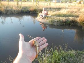 camping campamento jardin naturaleza pic nic aventura cuatriciclos pielta arquitectura bricolage avistaje de aves dia de campo fin de semana buena onda asado jardin de esculturas hierro reciclado animales de metal jardin de colibries salvias picaflor picaflores lagarto overo culebra jardin aves buenos aires observacion de aves rincon de la naturaleza ca&ntilde;uelas laguna pesca mojarras pescar con los chicos pesca con devolucion sembrar mojarras siempre construyendo parque4x4 parque 4x4 pasar el dia amigos cumplea&ntilde;os festejar cumple quinta campo quincho parrillas ba&ntilde;os accesibles duchas camping discapacitados 