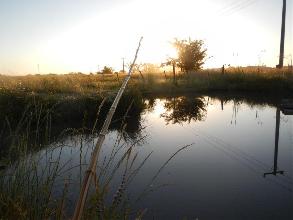 camping campamento jardin naturaleza pic nic aventura cuatriciclos pielta arquitectura bricolage avistaje de aves dia de campo fin de semana buena onda asado jardin de esculturas hierro reciclado animales de metal jardin de colibries salvias picaflor picaflores lagarto overo culebra jardin aves buenos aires observacion de aves rincon de la naturaleza ca&ntilde;uelas laguna pesca mojarras pescar con los chicos pesca con devolucion sembrar mojarras siempre construyendo parque4x4 parque 4x4 pasar el dia amigos cumplea&ntilde;os festejar cumple quinta campo quincho parrillas ba&ntilde;os accesibles duchas camping discapacitados 