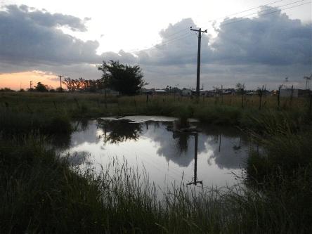camping campamento jardin naturaleza pic nic aventura cuatriciclos pielta arquitectura bricolage avistaje de aves dia de campo fin de semana buena onda asado jardin de esculturas hierro reciclado animales de metal jardin de colibries salvias picaflor picaflores lagarto overo culebra jardin aves buenos aires observacion de aves rincon de la naturaleza ca&ntilde;uelas laguna pesca mojarras pescar con los chicos pesca con devolucion sembrar mojarras siempre construyendo parque4x4 parque 4x4 pasar el dia amigos cumplea&ntilde;os festejar cumple quinta campo quincho parrillas ba&ntilde;os accesibles duchas camping discapacitados 