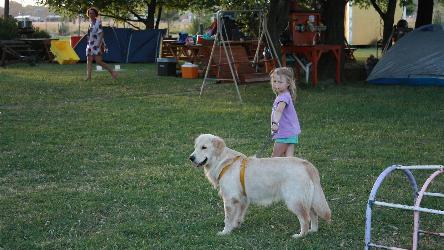 camping campamento jardin naturaleza pic nic aventura cuatriciclos pielta arquitectura bricolage avistaje de aves dia de campo fin de semana buena onda asado jardin de esculturas hierro reciclado animales de metal jardin de colibries salvias picaflor picaflores lagarto overo culebra jardin aves buenos aires observacion de aves rincon de la naturaleza ca&ntilde;uelas laguna pesca mojarras pescar con los chicos pesca con devolucion sembrar mojarras siempre construyendo parque4x4 parque 4x4 pasar el dia amigos cumplea&ntilde;os festejar cumple quinta campo quincho parrillas ba&ntilde;os accesibles duchas camping discapacitados 