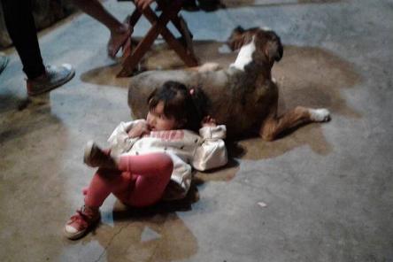 camping campamento jardin naturaleza pic nic aventura cuatriciclos pielta arquitectura bricolage avistaje de aves dia de campo fin de semana buena onda asado jardin de esculturas hierro reciclado animales de metal jardin de colibries salvias picaflor picaflores lagarto overo culebra jardin aves buenos aires observacion de aves rincon de la naturaleza ca&ntilde;uelas laguna pesca mojarras pescar con los chicos pesca con devolucion sembrar mojarras siempre construyendo parque4x4 parque 4x4 pasar el dia amigos cumplea&ntilde;os festejar cumple quinta campo quincho parrillas ba&ntilde;os accesibles duchas camping discapacitados 