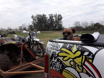 camping campamento jardin naturaleza pic nic aventura cuatriciclos pielta arquitectura bricolage avistaje de aves dia de campo fin de semana buena onda asado jardin de esculturas hierro reciclado animales de metal jardin de colibries salvias picaflor picaflores lagarto overo culebra jardin aves buenos aires observacion de aves rincon de la naturaleza ca&ntilde;uelas laguna pesca mojarras pescar con los chicos pesca con devolucion sembrar mojarras siempre construyendo parque4x4 parque 4x4 pasar el dia amigos cumplea&ntilde;os festejar cumple quinta campo quincho parrillas ba&ntilde;os accesibles duchas camping discapacitados 