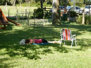 camping campamento jardin naturaleza pic nic aventura cuatriciclos pielta arquitectura bricolage avistaje de aves dia de campo fin de semana buena onda asado jardin de esculturas hierro reciclado animales de metal jardin de colibries salvias picaflor picaflores lagarto overo culebra jardin aves buenos aires observacion de aves rincon de la naturaleza ca&ntilde;uelas laguna pesca mojarras pescar con los chicos pesca con devolucion sembrar mojarras siempre construyendo parque4x4 parque 4x4 pasar el dia amigos cumplea&ntilde;os festejar cumple quinta campo quincho parrillas ba&ntilde;os accesibles duchas camping discapacitados  circuito pruebas sesion fotos campo test drive manejo prueba  siestodromo dormir la siesta