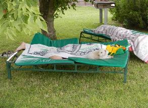 camping campamento jardin naturaleza pic nic aventura cuatriciclos pielta arquitectura bricolage avistaje de aves dia de campo fin de semana buena onda asado jardin de esculturas hierro reciclado animales de metal jardin de colibries salvias picaflor picaflores lagarto overo culebra jardin aves buenos aires observacion de aves rincon de la naturaleza ca&ntilde;uelas laguna pesca mojarras pescar con los chicos pesca con devolucion sembrar mojarras siempre construyendo parque4x4 parque 4x4 pasar el dia amigos cumplea&ntilde;os festejar cumple quinta campo quincho parrillas ba&ntilde;os accesibles duchas camping discapacitados  circuito pruebas sesion fotos campo test drive manejo prueba  siestodromo dormir la siesta