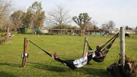 camping campamento jardin naturaleza pic nic aventura cuatriciclos pielta arquitectura bricolage avistaje de aves dia de campo fin de semana buena onda asado jardin de esculturas hierro reciclado animales de metal jardin de colibries salvias picaflor picaflores lagarto overo culebra jardin aves buenos aires observacion de aves rincon de la naturaleza ca&ntilde;uelas laguna pesca mojarras pescar con los chicos pesca con devolucion sembrar mojarras siempre construyendo parque4x4 parque 4x4 pasar el dia amigos cumplea&ntilde;os festejar cumple quinta campo quincho parrillas ba&ntilde;os accesibles duchas camping discapacitados  circuito pruebas sesion fotos campo test drive manejo prueba  siestodromo dormir la siesta
