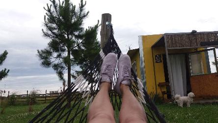 camping campamento jardin naturaleza pic nic aventura cuatriciclos pielta arquitectura bricolage avistaje de aves dia de campo fin de semana buena onda asado jardin de esculturas hierro reciclado animales de metal jardin de colibries salvias picaflor picaflores lagarto overo culebra jardin aves buenos aires observacion de aves rincon de la naturaleza ca&ntilde;uelas laguna pesca mojarras pescar con los chicos pesca con devolucion sembrar mojarras siempre construyendo parque4x4 parque 4x4 pasar el dia amigos cumplea&ntilde;os festejar cumple quinta campo quincho parrillas ba&ntilde;os accesibles duchas camping discapacitados  circuito pruebas sesion fotos campo test drive manejo prueba  siestodromo dormir la siesta