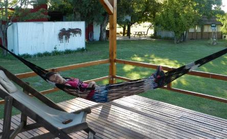 camping campamento jardin naturaleza pic nic aventura cuatriciclos pielta arquitectura bricolage avistaje de aves dia de campo fin de semana buena onda asado jardin de esculturas hierro reciclado animales de metal jardin de colibries salvias picaflor picaflores lagarto overo culebra jardin aves buenos aires observacion de aves rincon de la naturaleza ca&ntilde;uelas laguna pesca mojarras pescar con los chicos pesca con devolucion sembrar mojarras siempre construyendo parque4x4 parque 4x4 pasar el dia amigos cumplea&ntilde;os festejar cumple quinta campo quincho parrillas ba&ntilde;os accesibles duchas camping discapacitados  circuito pruebas sesion fotos campo test drive manejo prueba  siestodromo dormir la siesta